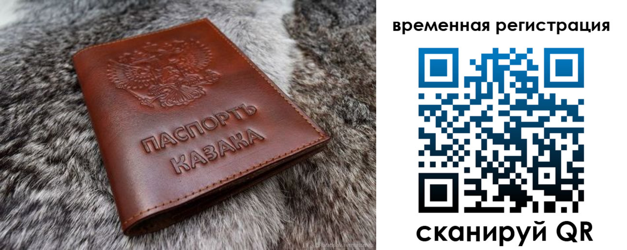 прописка 2025 в Видном